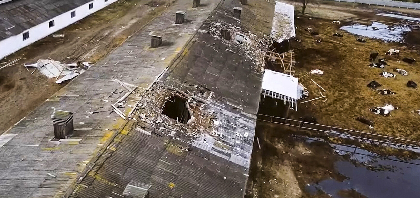 Cattle shed hit with missile
